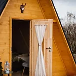 Scandinavisch Boshuisje Camping Haarlo