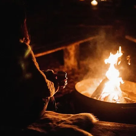 Scandinavisch Boshuisje * Haarlo