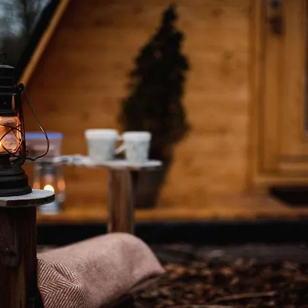 Scandinavisch Boshuisje * Haarlo