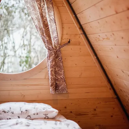 Scandinavisch Boshuisje Haarlo