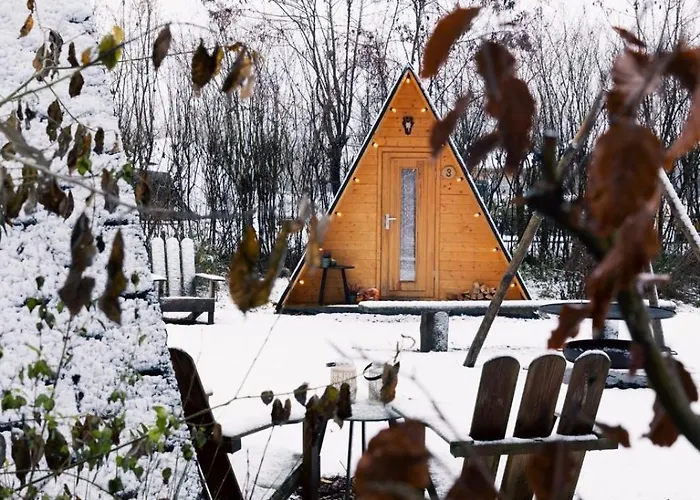 Scandinavisch Boshuisje *