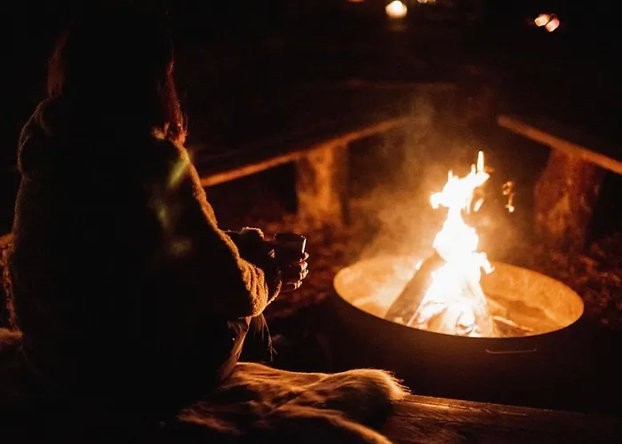 Scandinavisch Boshuisje * Haarlo